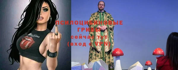 MESCALINE Кинешма