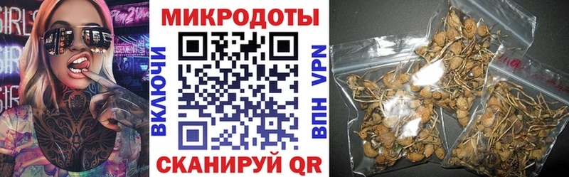 Купить закладки  Кудымкар  Псилоцибиновые грибы Magic Shrooms 